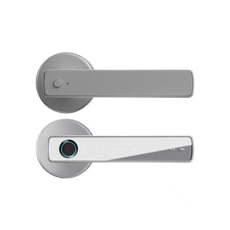 Tuya TTLock Smart Door Lock, Biometric Fingerprint & Key Card Electronic Security Lock, Anti-Theft Smart Handle Lever Lock, Bluetooth APP Remote Control Keyless Entry Lock for Home Apartment Office Rental